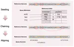 Performance Analysis of the Modern Genome Alignment Application